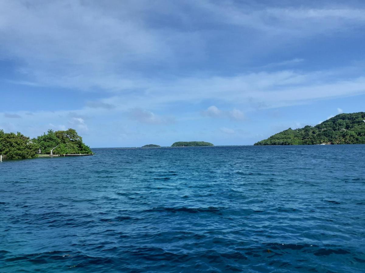 A L'Arche Bleue Hotel เลอ โฮแบร์ ภายนอก รูปภาพ