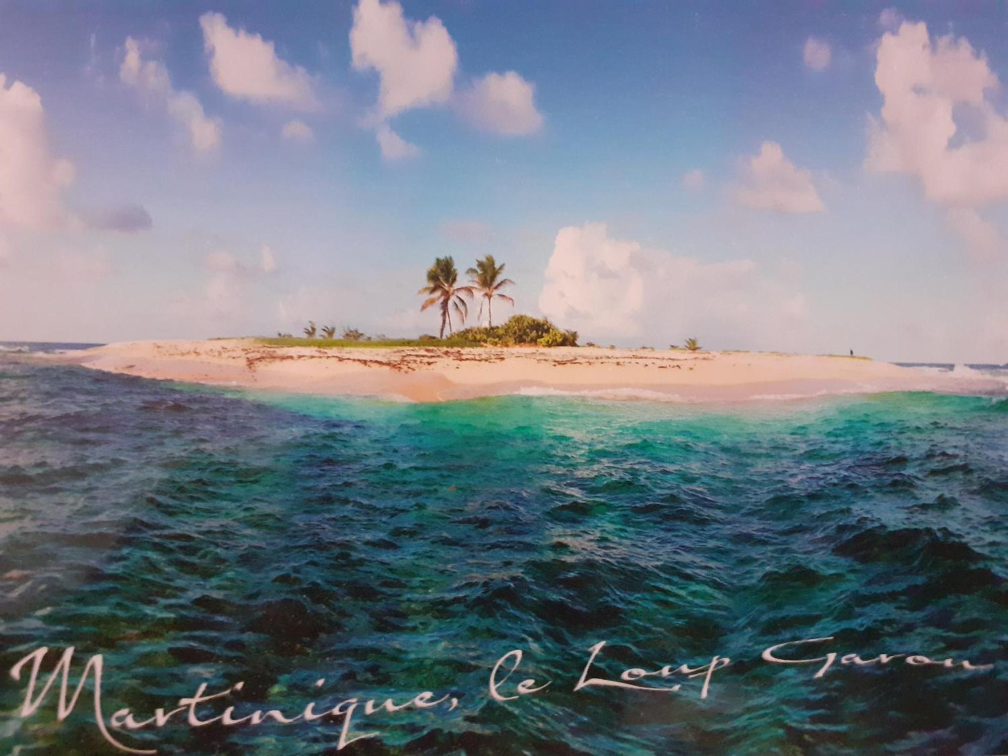 A L'Arche Bleue Hotel เลอ โฮแบร์ ภายนอก รูปภาพ
